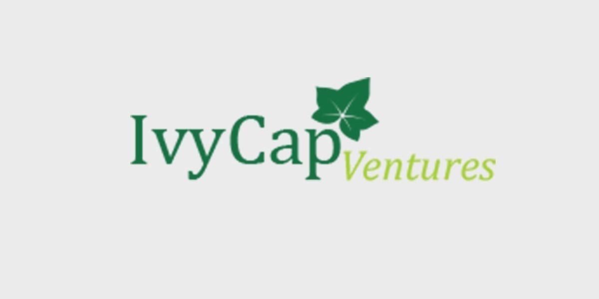 ivycap-1-1200x6001714552293.jpg